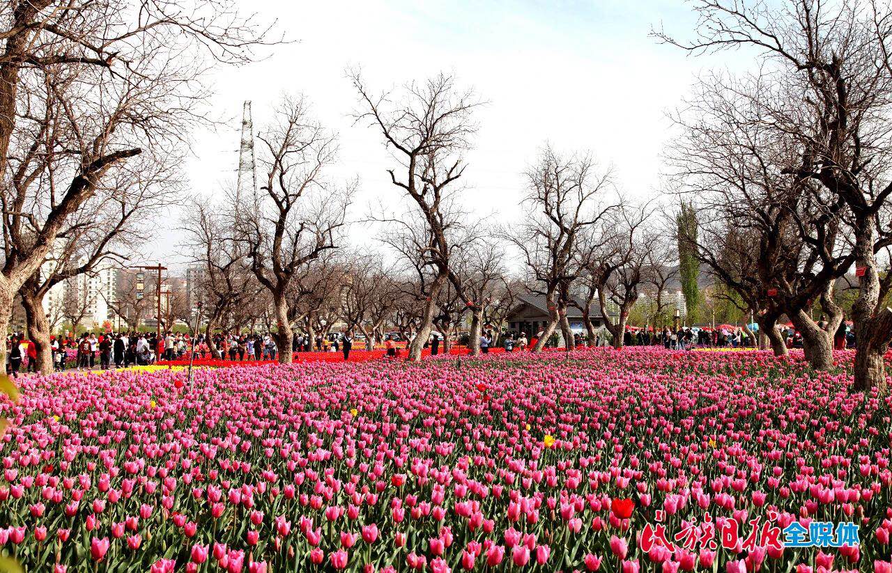 微信图片_202004201137203.jpg 图片