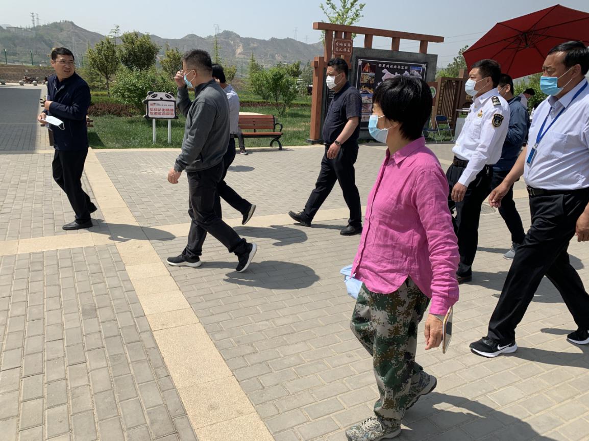 GS图片5.jpg 图片